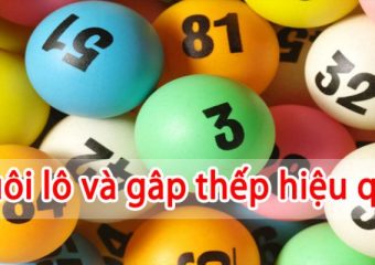 bi-kip-nuoi-lo-gap-thep-hieu-qua-an-chac